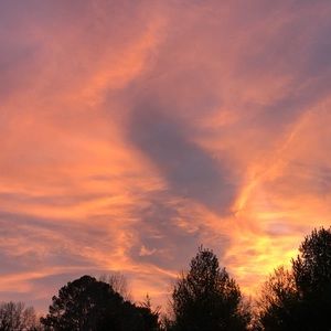 Meet your Posher, Mackenzie